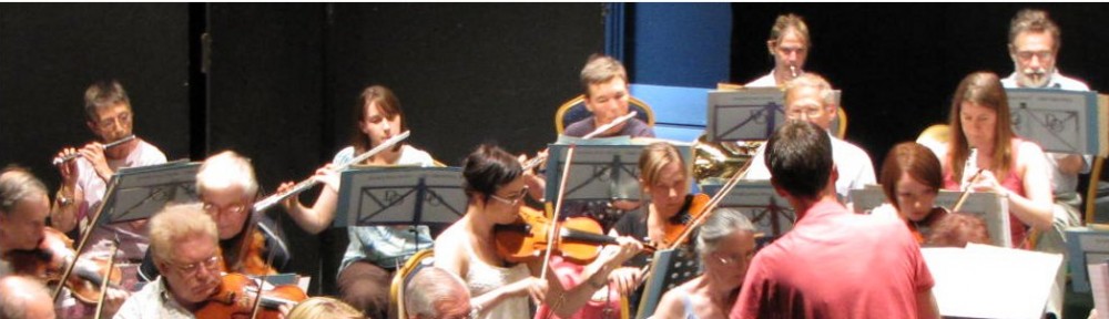 The Darlington Orchestra