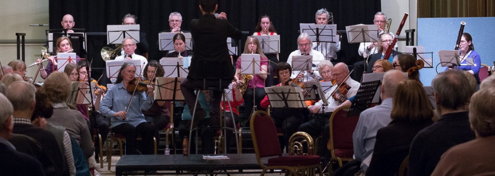 The Darlington Orchestra